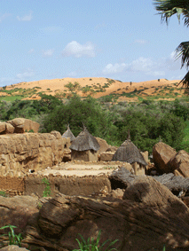 TRAVEL IN MALI_DOGON COUNTRIES