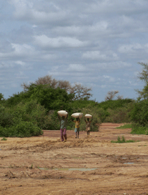 TRAVEL IN MALI_USEFUL INFORMATIONS