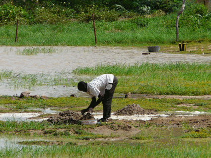 AFRICA OCCIDENTALE, MALI, turismo responsabile, Viaggio in Mali, Progetti, Sviluppo