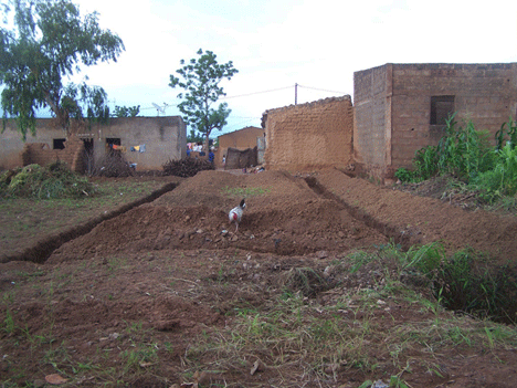 JOLIBA, Associazione,Progetti, Sviluppo, Sostenibile, Africa, Mali, Burkina Faso, Turismo Responsabile, Sostegno a distanza,Bomboniere solidali, Artigianato africano