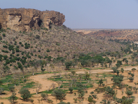 JOLIBA, Associazione,Progetti, Sviluppo, Sostenibile, Africa, Mali, Burkina Faso, Turismo Responsabile, Sostegno a distanza,Bomboniere solidali, Artigianato africano