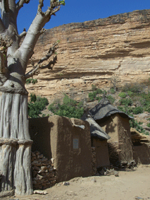 AFRICA, MALI, VIAGGI, Progetti, Sviluppo, Donne,Artigianato, Karite