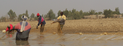 JOLIBA, Associazione,Progetti, Sviluppo, Sostenibile, Africa, Mali, Burkina Faso, Turismo Responsabile, Sostegno a distanza,Bomboniere solidali, Artigianato africano