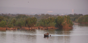 JOLIBA, Associazione,Progetti, Sviluppo, Sostenibile, Africa, Mali, Burkina Faso, Turismo Responsabile, Sostegno a distanza,Bomboniere solidali, Artigianato africano