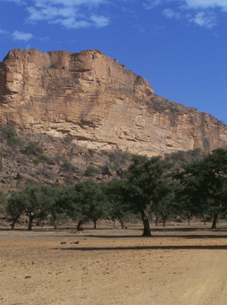 JOLIBA, Associazione,Progetti, Sviluppo, Sostenibile, Africa, Mali, Burkina Faso, Turismo Responsabile, Sostegno a distanza,Bomboniere solidali, Artigianato africano