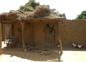 JOLIBA, Associazione,Progetti, Sviluppo, Sostenibile, Africa, Mali, Burkina Faso, Turismo Responsabile, Sostegno a distanza,Bomboniere solidali, Artigianato africano JOLIBA, Associazione,Progetti, Sviluppo, Sostenibile, Africa, Mali, Burkina Faso, Turismo Responsabile, Sostegno a distanza,Bomboniere solidali, Artigianato africano