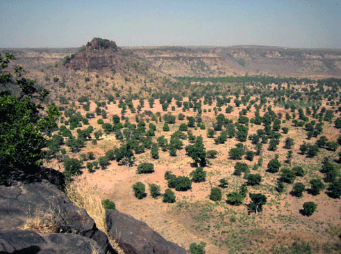 JOLIBA, Associazione,Progetti, Sviluppo, Sostenibile, Africa, Mali, Burkina Faso, Turismo Responsabile, Sostegno a distanza,Bomboniere solidali, Artigianato africano JOLIBA, Associazione,Progetti, Sviluppo, Sostenibile, Africa, Mali, Burkina Faso, Turismo Responsabile, Sostegno a distanza,Bomboniere solidali, Artigianato africano